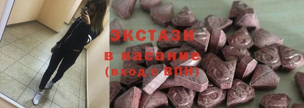 амф Ельня