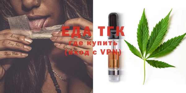 амф Ельня