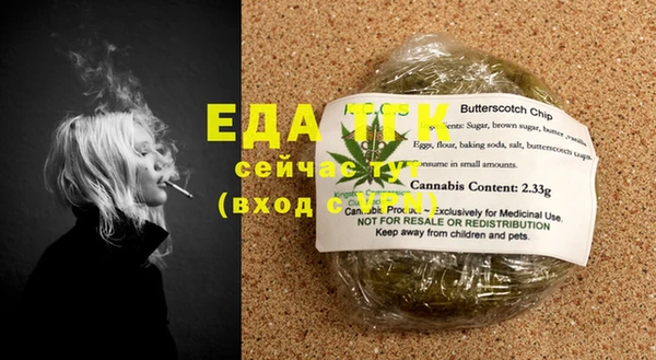 амф Ельня