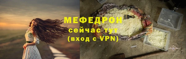 амф Ельня