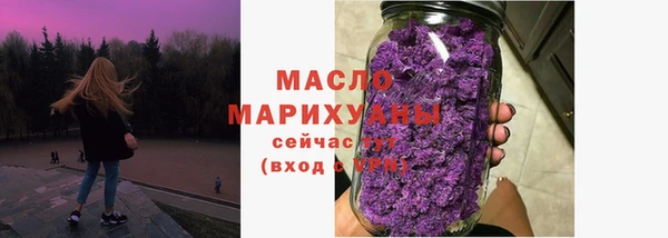 амф Ельня