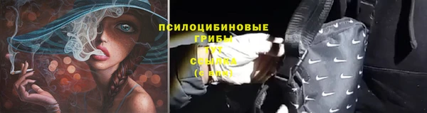 амф Ельня