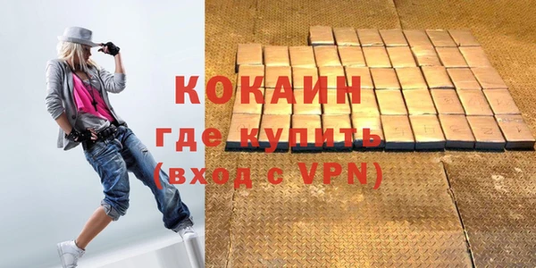 амф Ельня