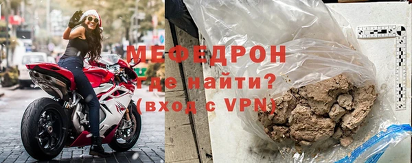 амф Ельня