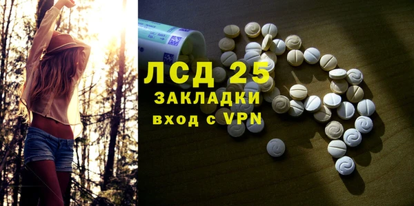 амф Ельня