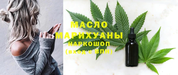 амф Ельня
