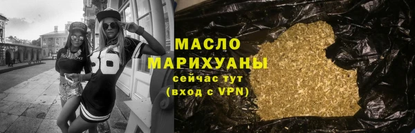 амф Ельня