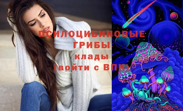 ALPHA-PVP Елизово
