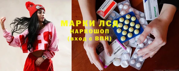 амф Ельня