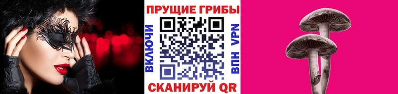 Псилоцибиновые грибы Psilocybine cubensis  Купить где  Николаевск-на-Амуре 